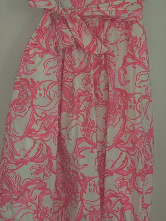 Lilly Pulitzer Dresses & Skirts - Goop X Lilly Pulitzer Skirt full skirt Kiss Kiss Size 2